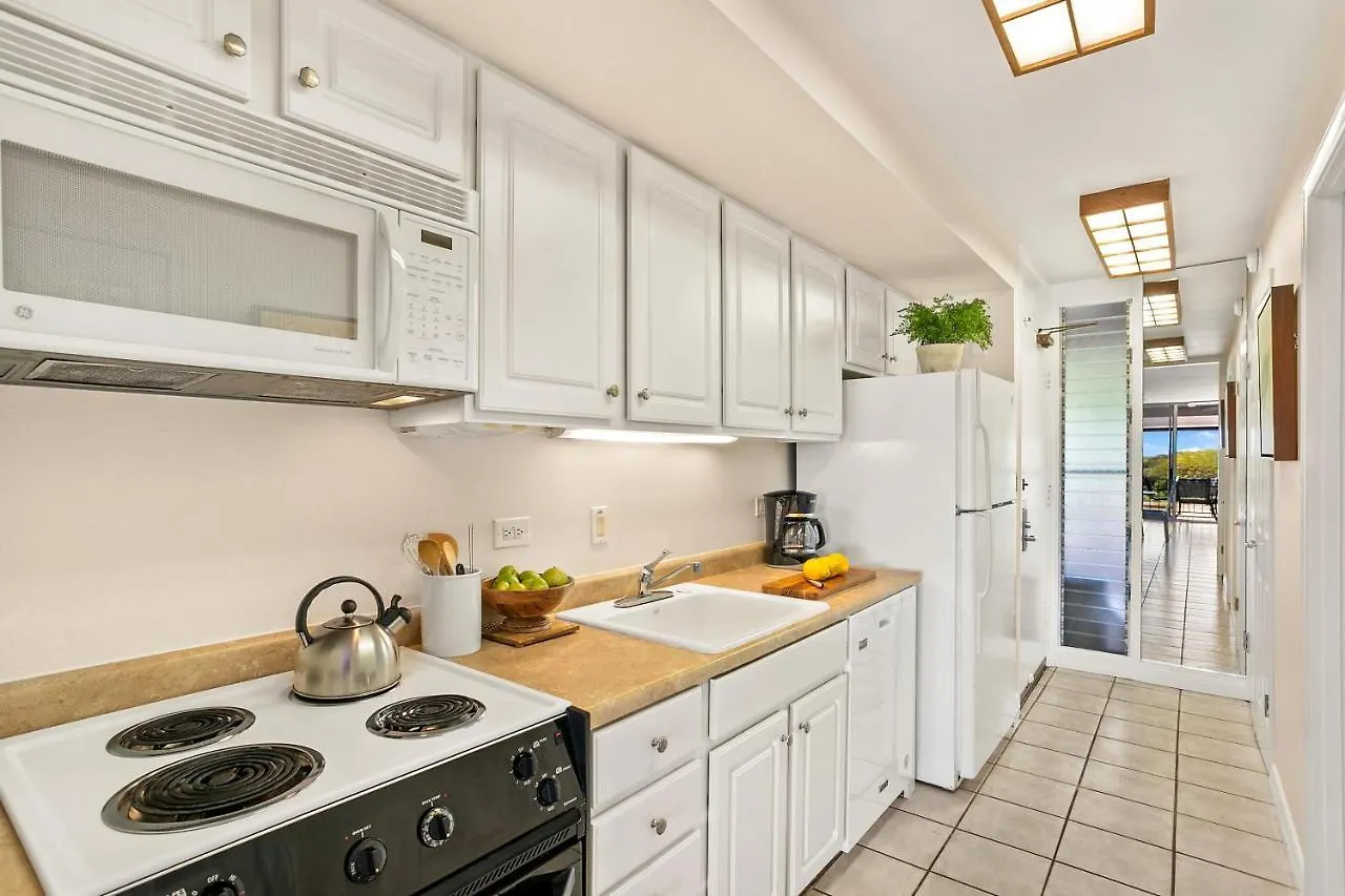 Eldorado K215 Appartement Kahana Verenigde Staten